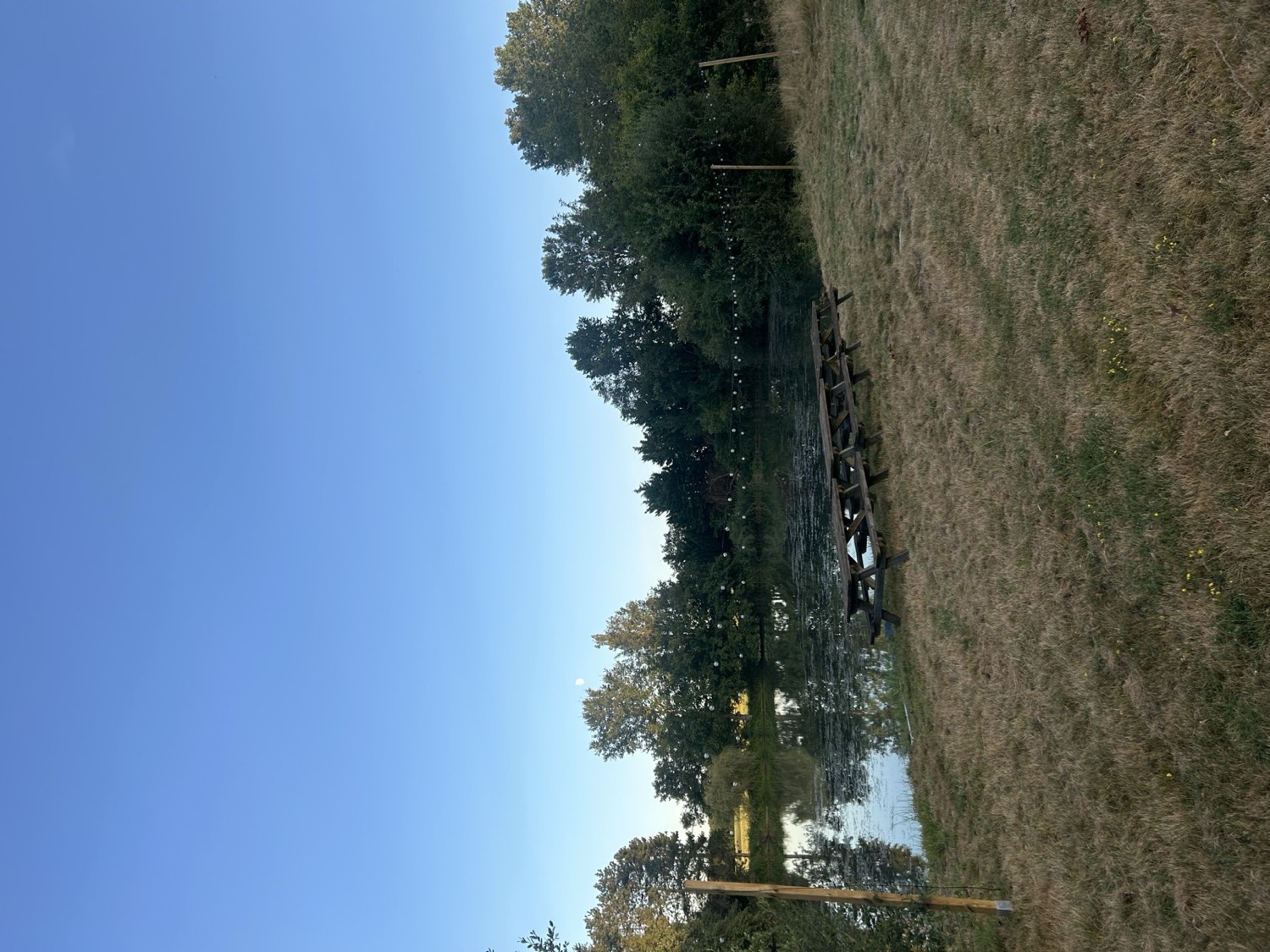 Tables de pique-nique au bord de l'étang, sous les guirlandes