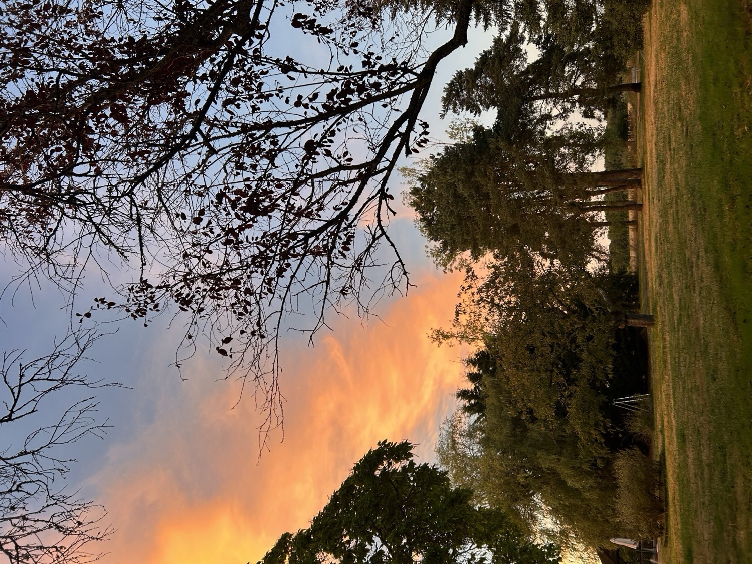 Ciel embrasé au coucher du soleil sur les quatre hectares de parc